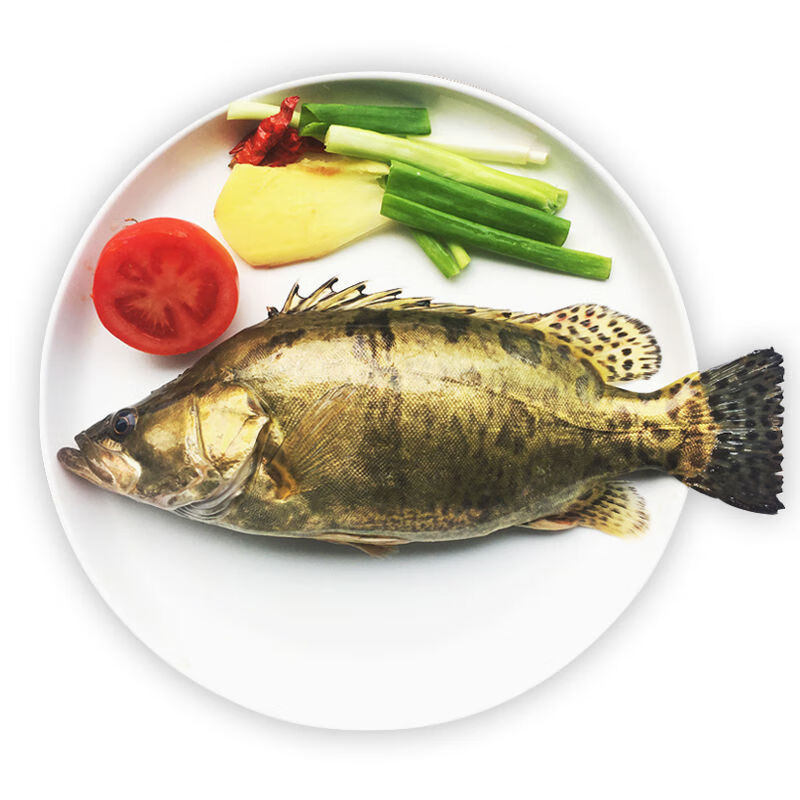 悦芳华 现杀桂鱼 新鲜鳜鱼 鲫花鱼 现杀桂花鱼 【活鱼现杀】每条0.