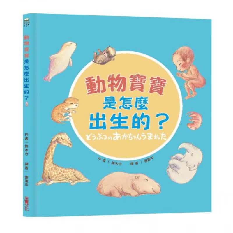预订台版 动物宝宝是怎么出生的 读物探索动物生命的开头人气插画科普绘本启蒙认知儿童