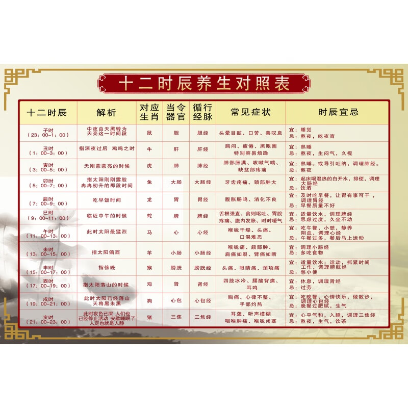 jdbz中医文化养生馆挂图海报子午流注穴位图 十二时辰养生对照表 pp胶