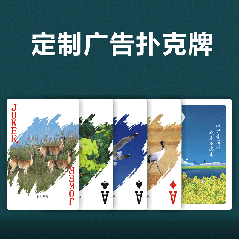 泰瑞格定制汽车扑克牌定做订制安全纸牌宣传礼品订做广告扑克