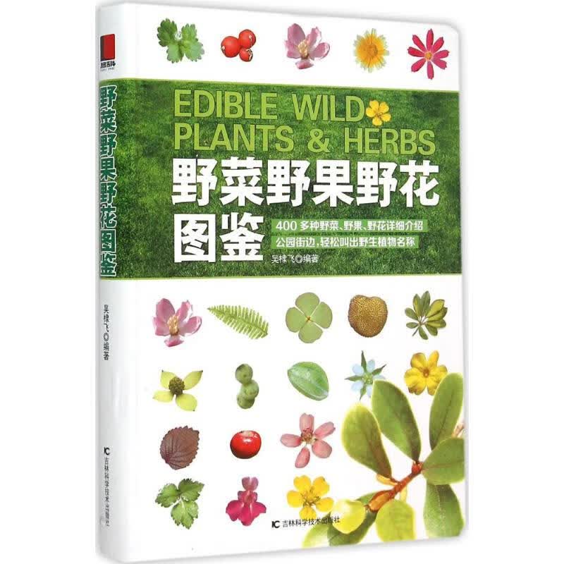 野菜野果野花图鉴