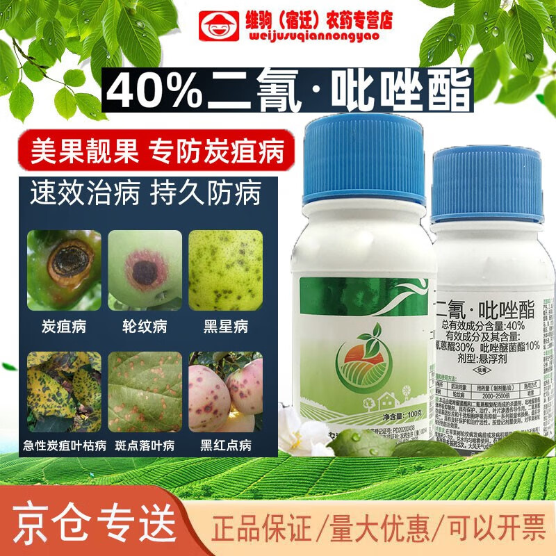 40%二氰蒽醌吡唑醚菌酯草莓炭疽病辣椒专用杀菌剂黑星病果树农药 100g