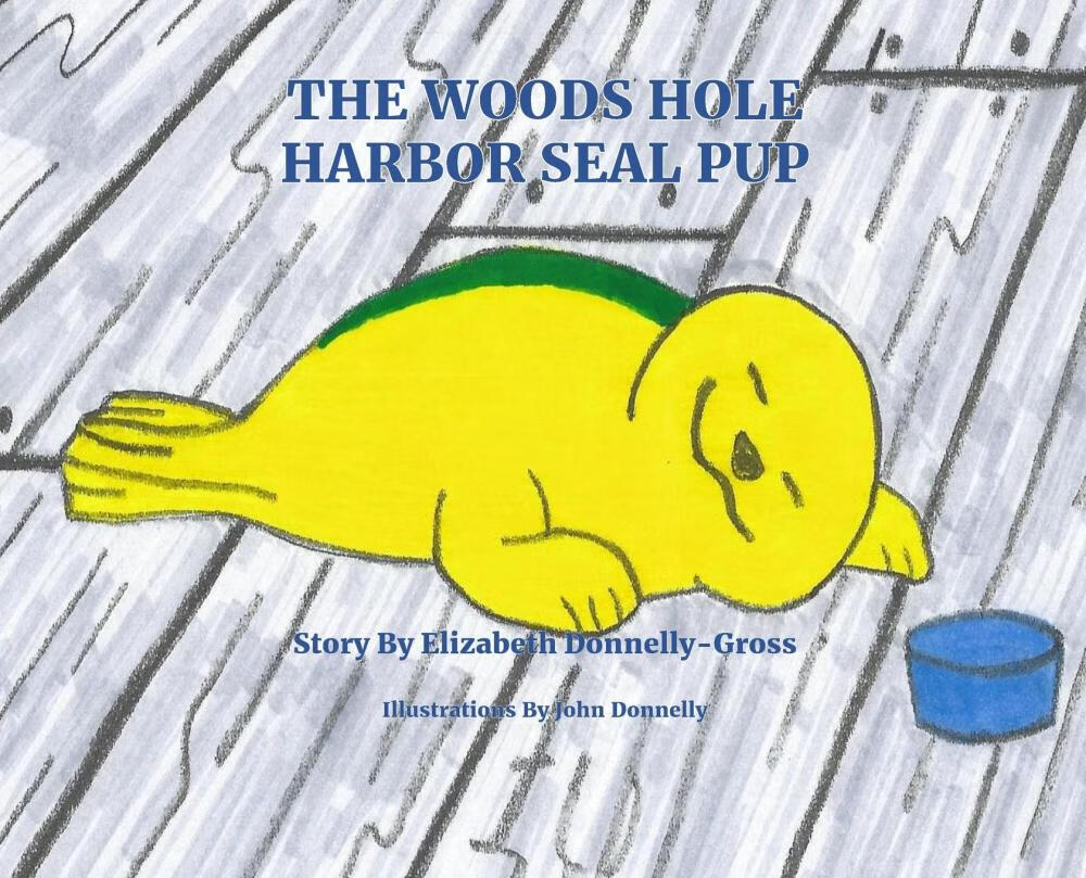 【预售按需印刷】the woods hole harbor seal pup