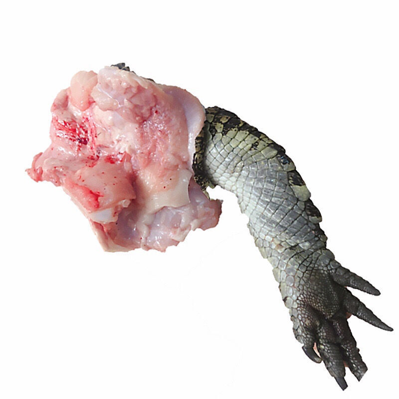 伯贤 新鲜鳄鱼腿带皮肉 现杀鳄鱼人工养殖鳄鱼 新鲜肉类食用鳄鱼 2斤