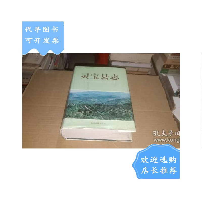 【二手八成新】灵宝县志