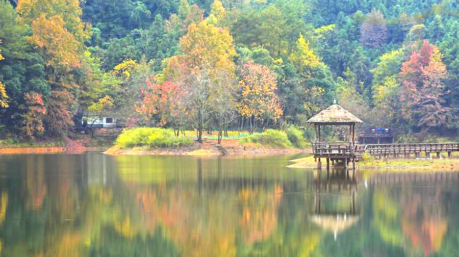 千岛湖龙川湾门票 园内景交车票成人票 千岛湖龙川湾 门票套餐