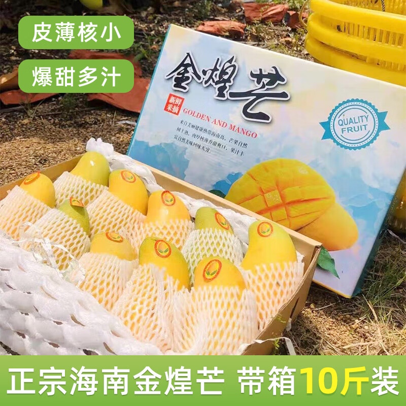 译优农 海南金煌芒水仙芒果 三亚直发当季现摘甜心芒大果 新鲜孕妇水果 顺丰净重8-8.5斤精选特大果【礼盒装】