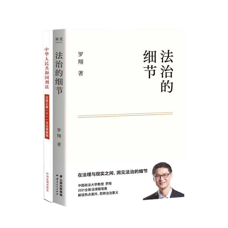 法治的细节+中华人民共和国刑法 共2册