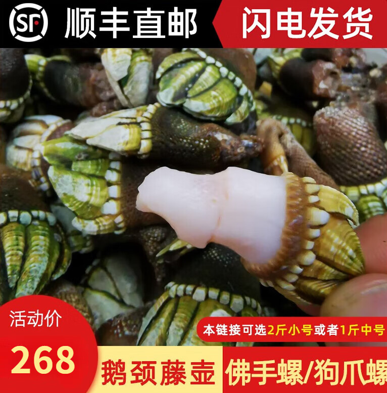 鲜水港海鲜佛手螺鲜活大特大非即食鹅颈藤壶狗爪螺海鸡脚螺龟足贝鸡爪