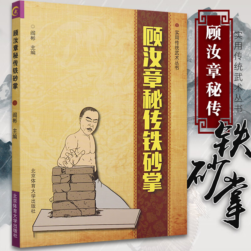 套路战术实战擒拿散打图解手册武术书少林铁砂掌强生健体养生修炼功法