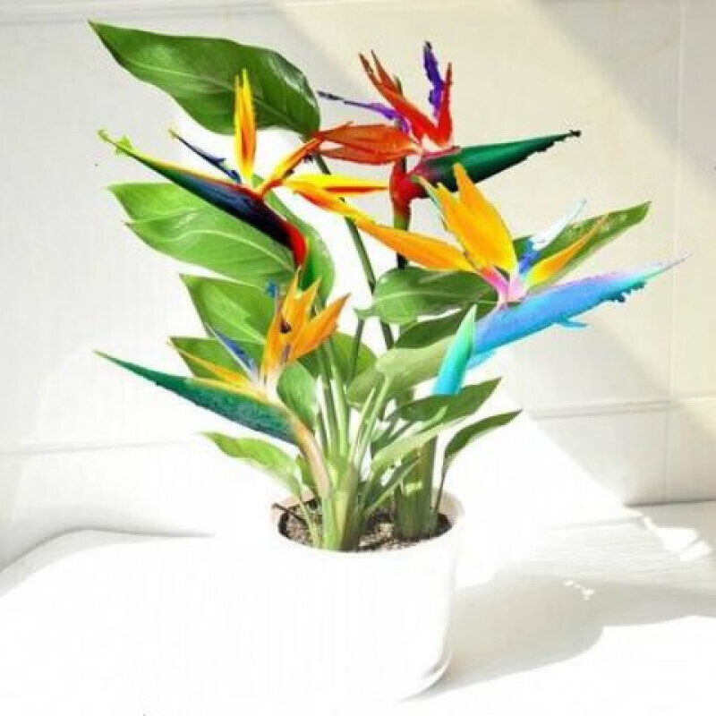 汉柠 品牌报价图片优惠券 汉柠品牌优惠商品大全 12 虎窝购