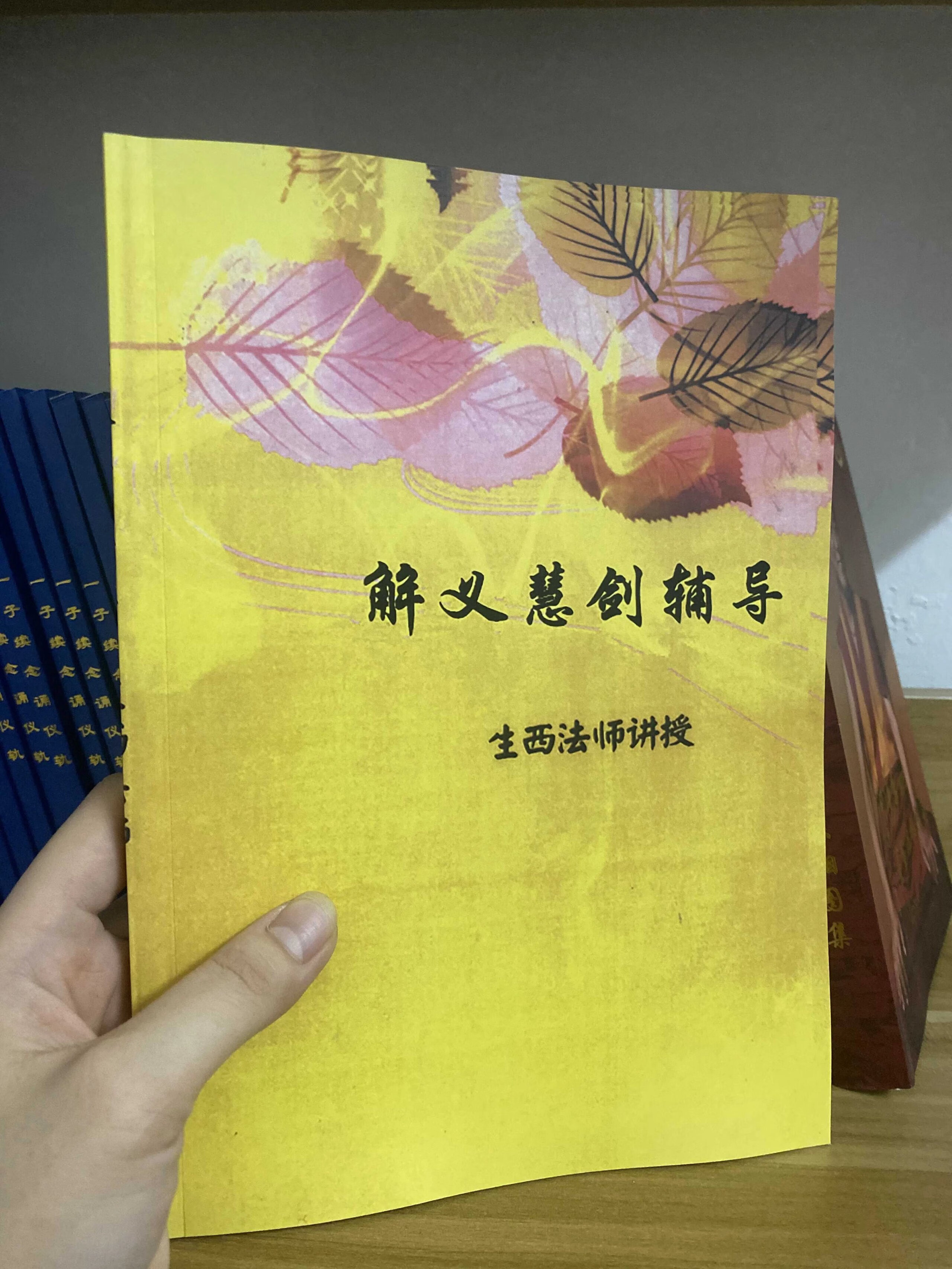 解义慧剑辅导1-12（无科判）