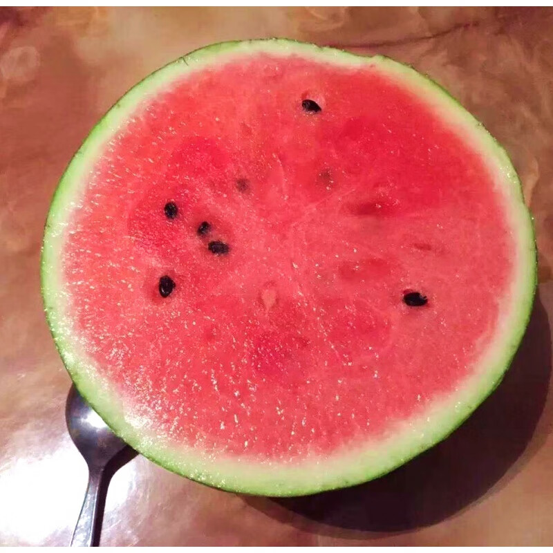 桃李村海南麒麟小蜜蜂西瓜 单只6-7斤新鲜红瓤西瓜箱装送礼生鲜 1个装