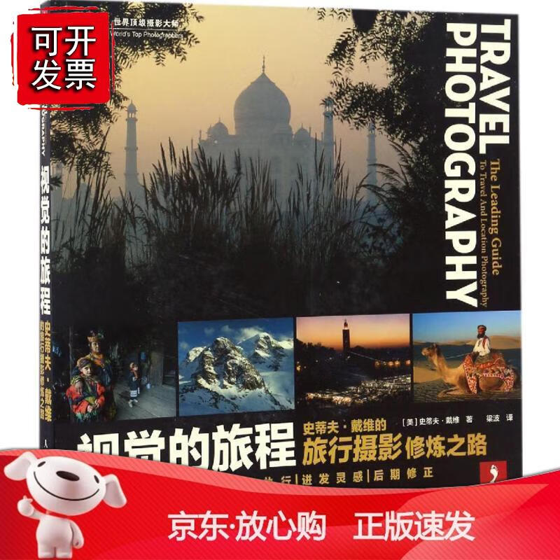 视觉的旅程 [美]史蒂夫·戴维 著 梁波 译 摄影理论