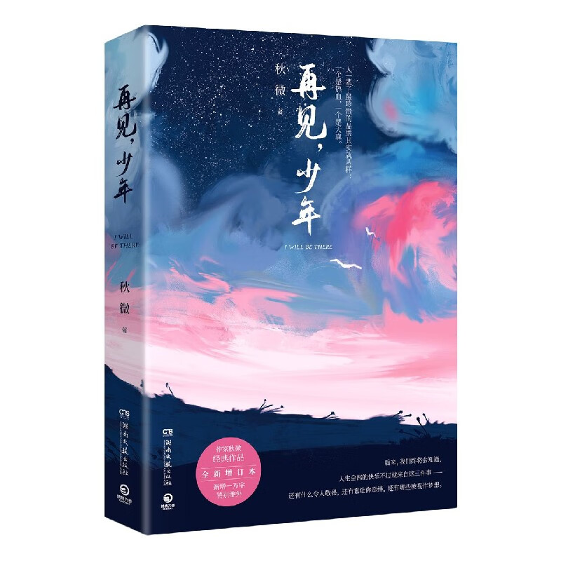 再见少年(全新增订本)