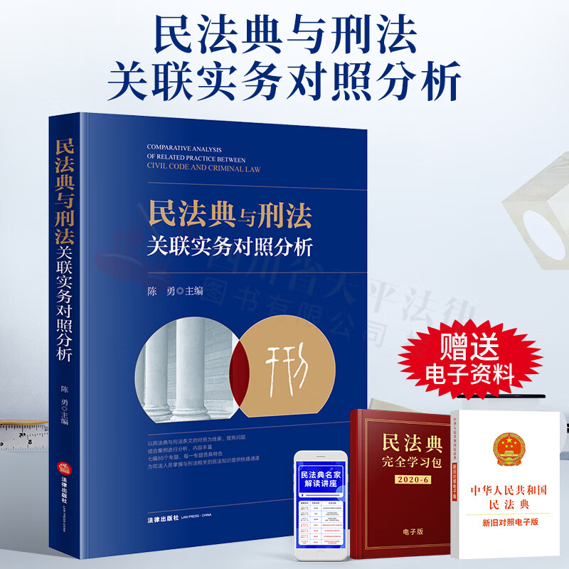 民法典与刑法关联实务对照分析 陈勇 刑民交叉要点解析 典型案例解读 刑事审判 刑事辩护业务