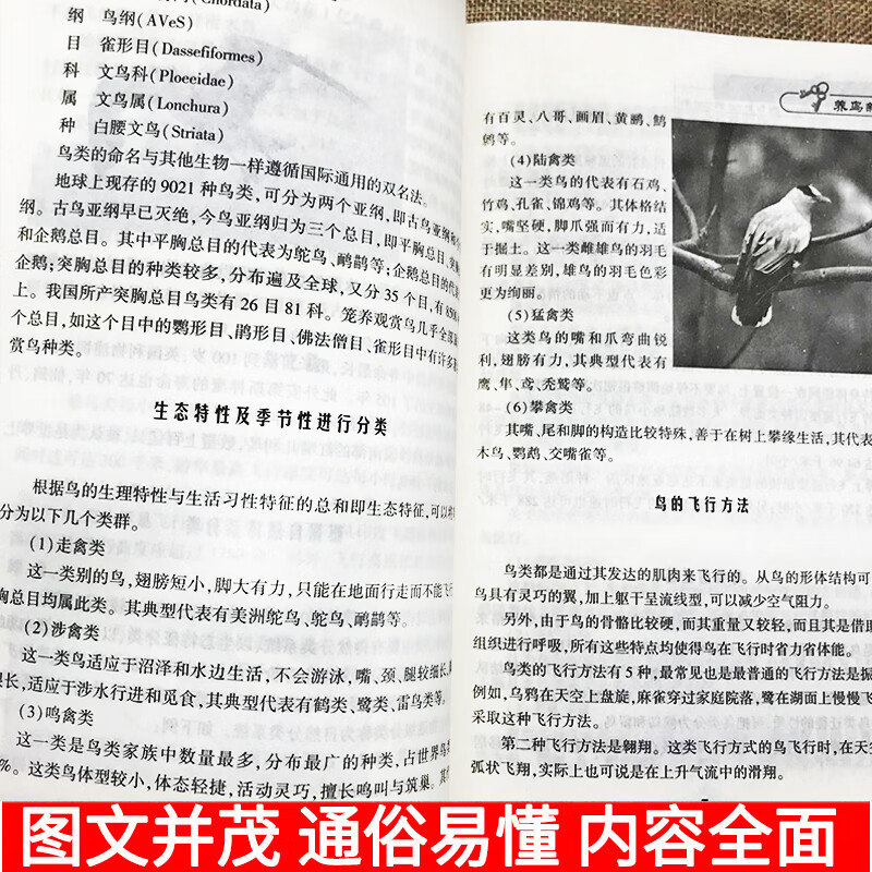 养鸟新技术兽医养殖技术书籍大全动物营养与