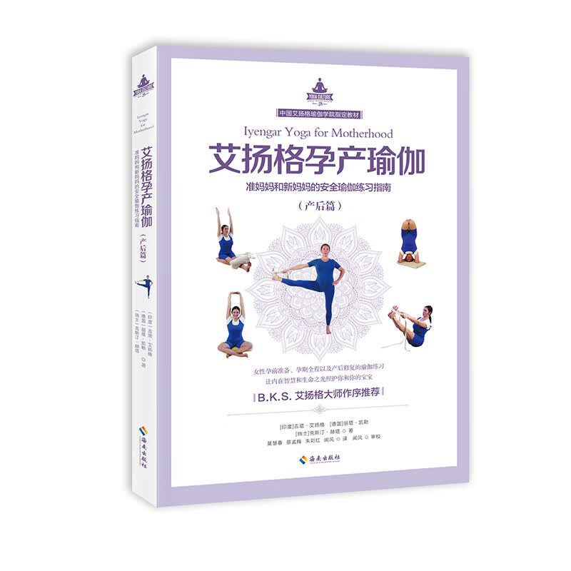 艾扬格孕产瑜伽（产后篇）准妈妈和新妈妈的安全瑜伽练习指南 B.K.S.艾扬格大师作序推荐，寄语中国准妈妈