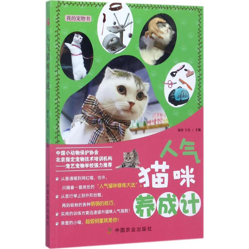人气猫咪养成计