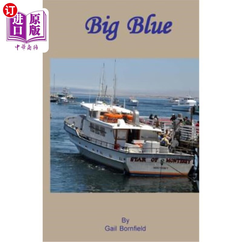 海外直订big blue 大蓝色