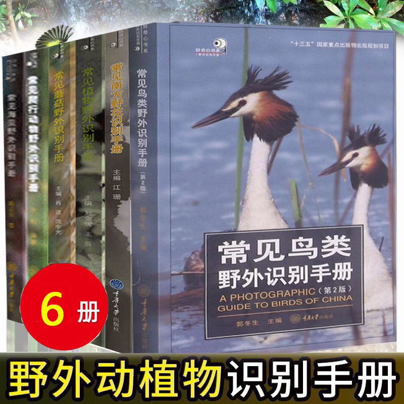常见动植物野外识别手册 6册 好奇心书系 鸟类+海贝+蘑菇+南方野花天牛野外识别手册 动植物科普