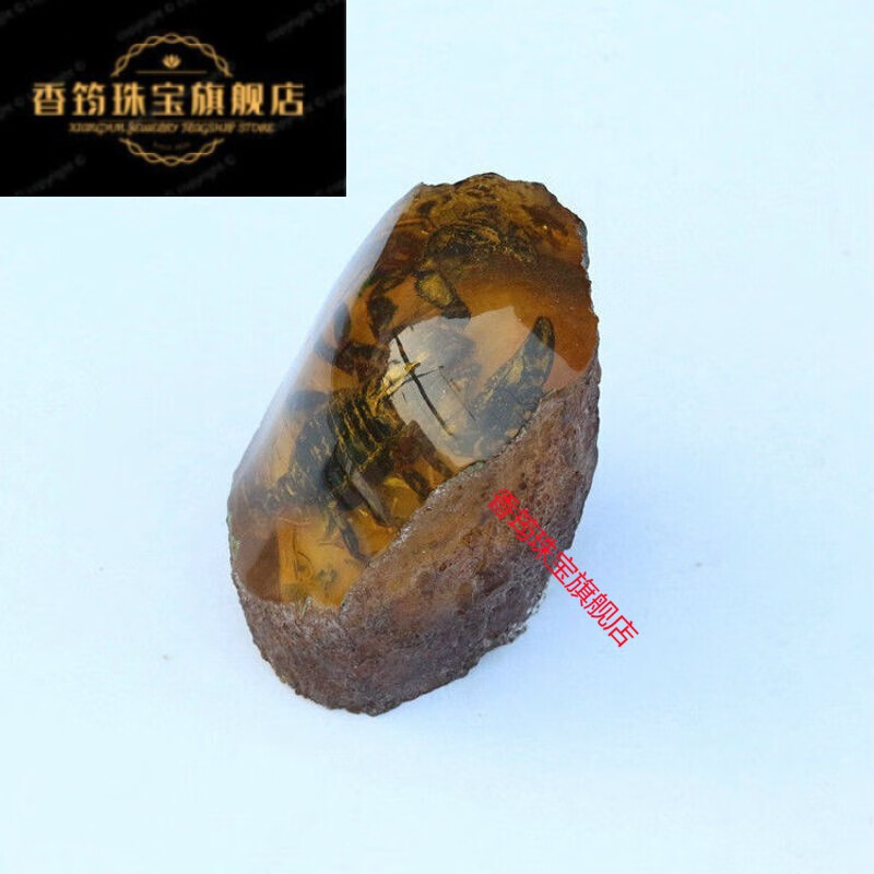 6015人工琥珀原石 动物带虫虫子标本昆虫真珀人造蜜蜡 摆件 图片
