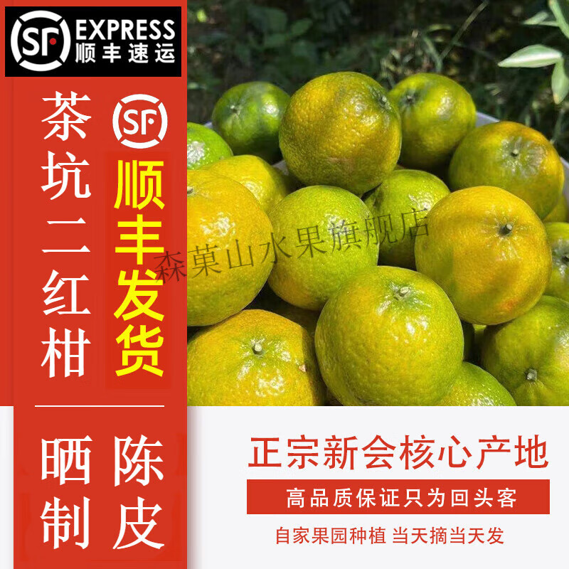 森菓山-广东新会大红柑 新会茶坑小青柑鲜果 新鲜自制小青柑普茶 5斤