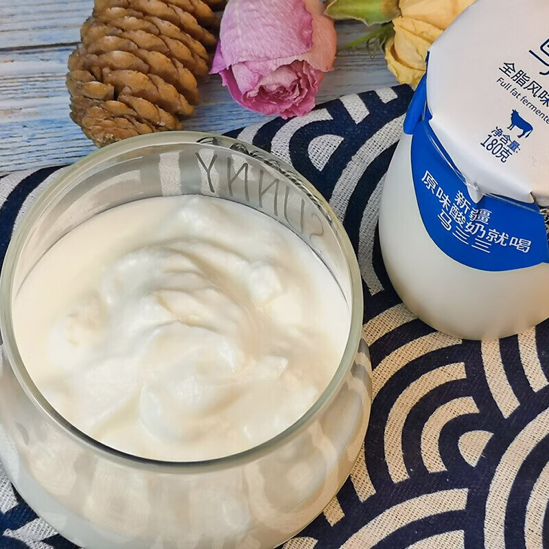 马三三新疆原味老酸奶180g*12罐 无蔗糖风味酸牛奶发酵儿童早餐酸奶