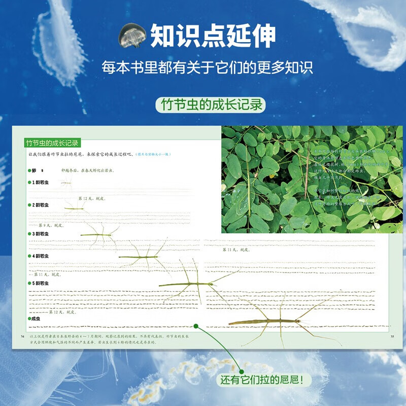 【无穷小亮推荐】生命的故事 赠音频 高清实拍昆虫动物科普百科全书12345辑+番外篇 赠音频 纸上纪录片自然科普儿童绘本 幼儿园动物世界3-6-8-10岁 人民日报推荐官方正版省钱卡图书卡 生命的故事