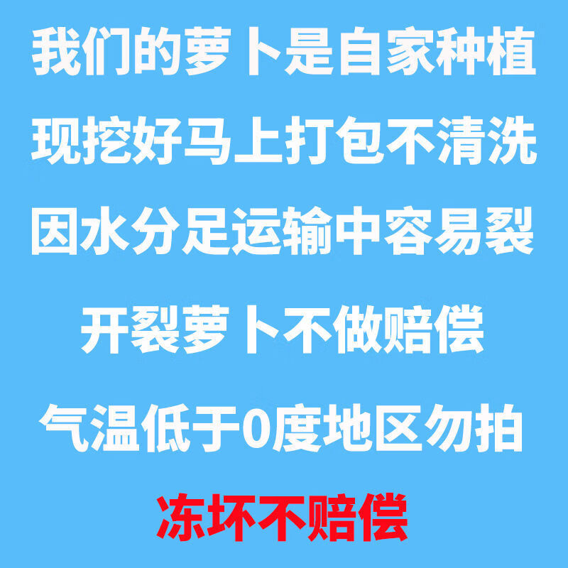 1【精选S级】新鲜萝卜农家种植白萝卜圆萝卜小萝卜当季蔬菜现挖萝卜冬季甜萝卜 【尝鲜装】5斤白萝卜