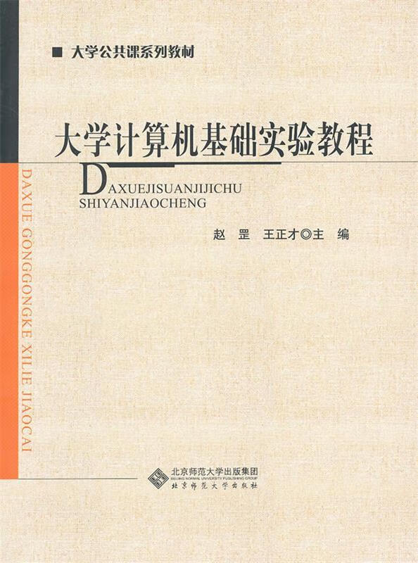 大学计算机基础实验教程 赵罡,王正才 9787303131341 kindle格式下载