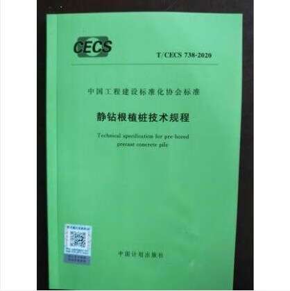 T/CECS 738-2020 静钻根植桩技术规程 中国建筑工业出版社