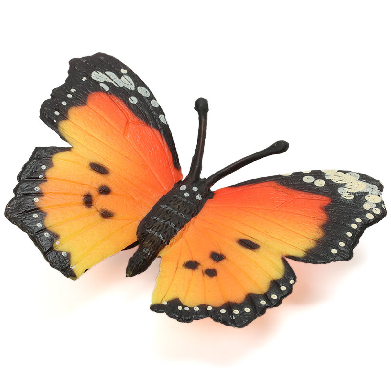 mechile仿真昆虫模型动物玩具蜜蜂蝴蝶蜻蜓儿童认知蝎子开学第一课