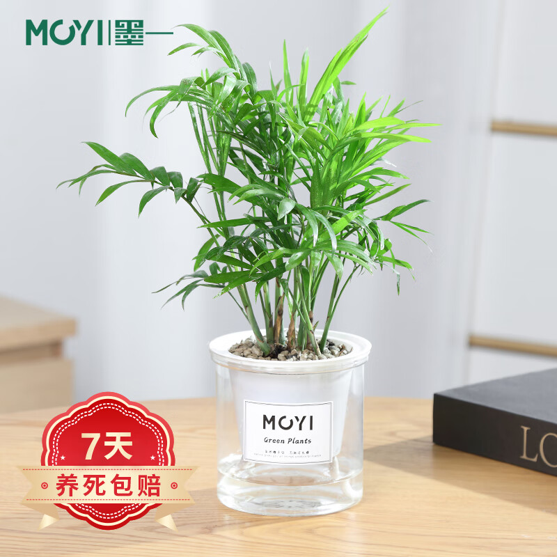 京东如何看绿植盆栽历史价格|绿植盆栽价格走势