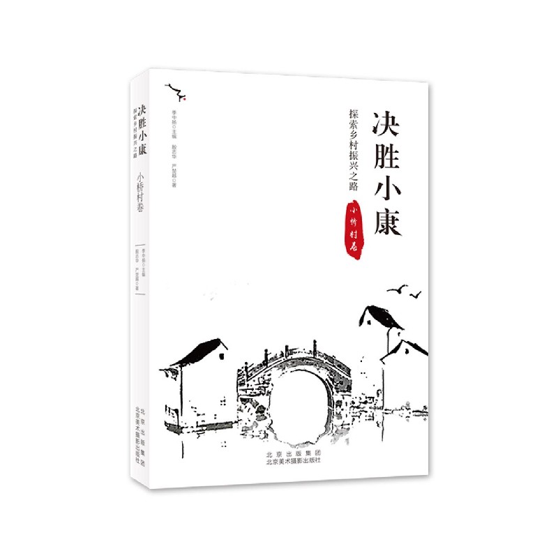 决胜小康(探索乡村振兴之路小桥村卷)