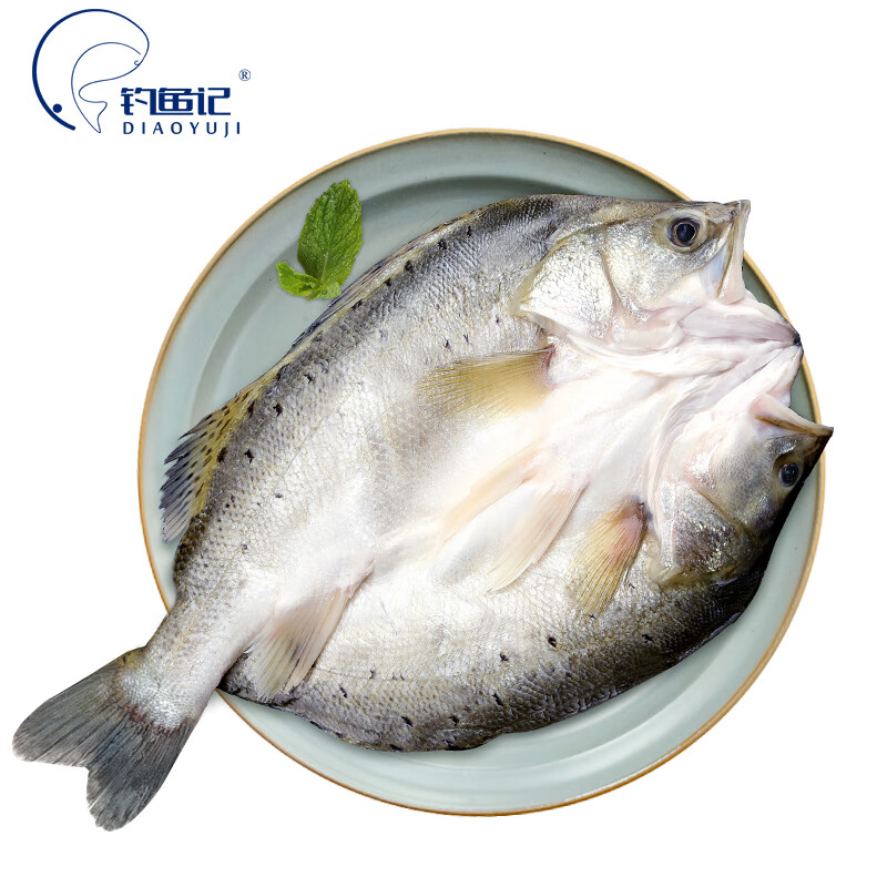 哪里可以查询鱼类历史价格|鱼类价格走势图