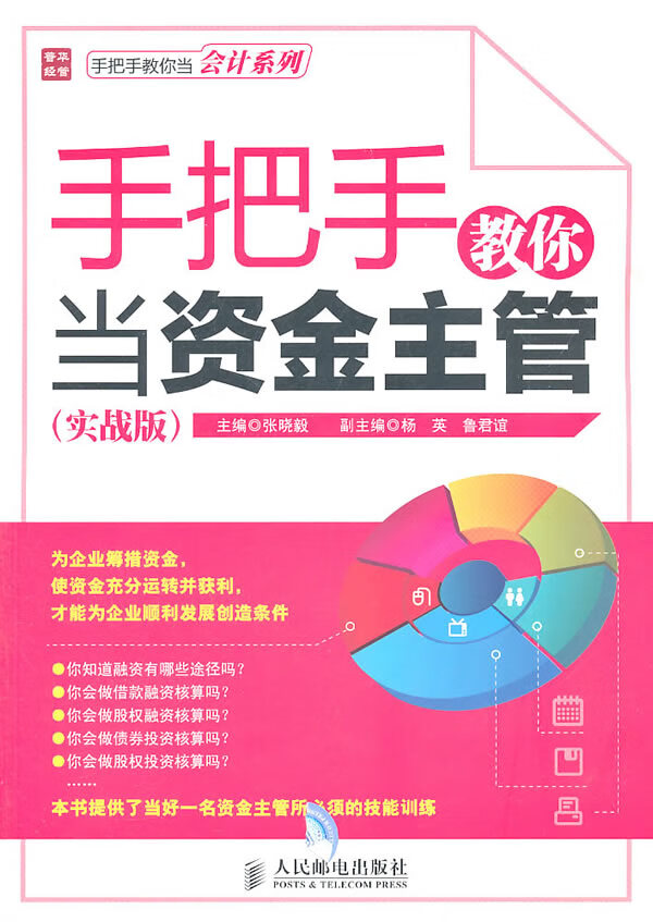 手把手教你当资金主管(实战版)【正版图书】