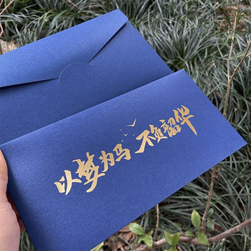 倾阑 成人礼信封 高中学生成人礼感谢信 男女十八岁信纸信封 蓝色 以