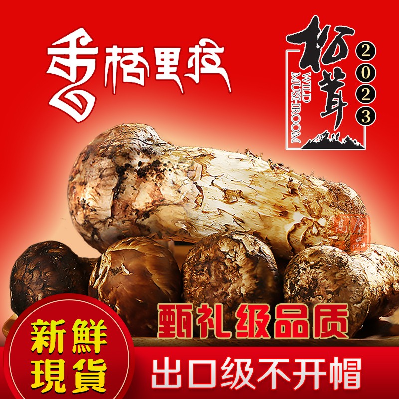 高原云品【香格里拉不开帽松茸新鲜】甄礼级珍品松茸 中秋送礼 顺丰速达 12-15厘米 1000克【甄选不开帽】属于什么档次？