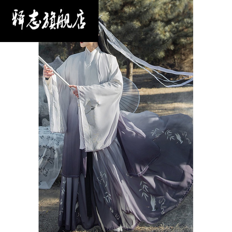 卐Ψ国货之光释志 汉服女晋制汉服女原创中国风晋制汉服侠客古装交领