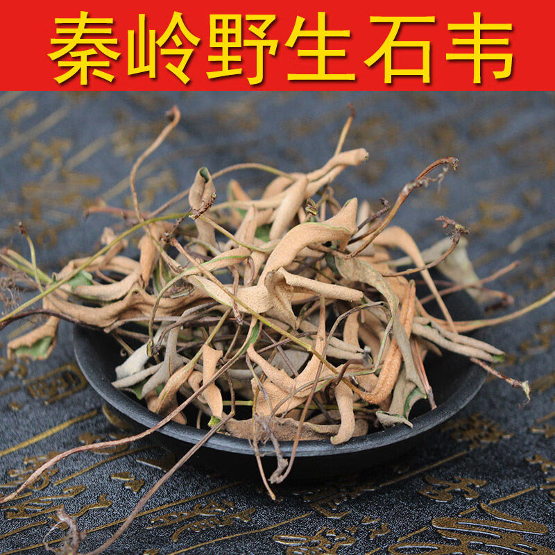 秦岭石韦 刀口药 中药材石苇 刀尖草干货500克