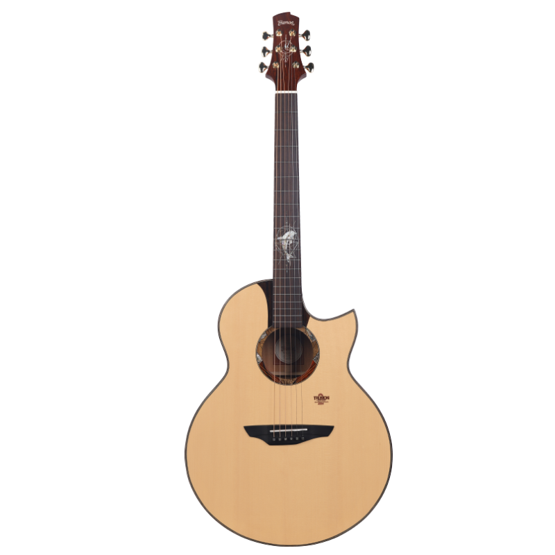 Trumon品牌楚门吉他的价格走势和用户评价|吉他商品历史价格查询入口