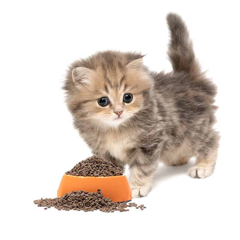 卫仕膳食平衡全价幼猫粮1.8kg*3 幼猫粮鸡肉主食宠物猫咪高蛋白奶糕