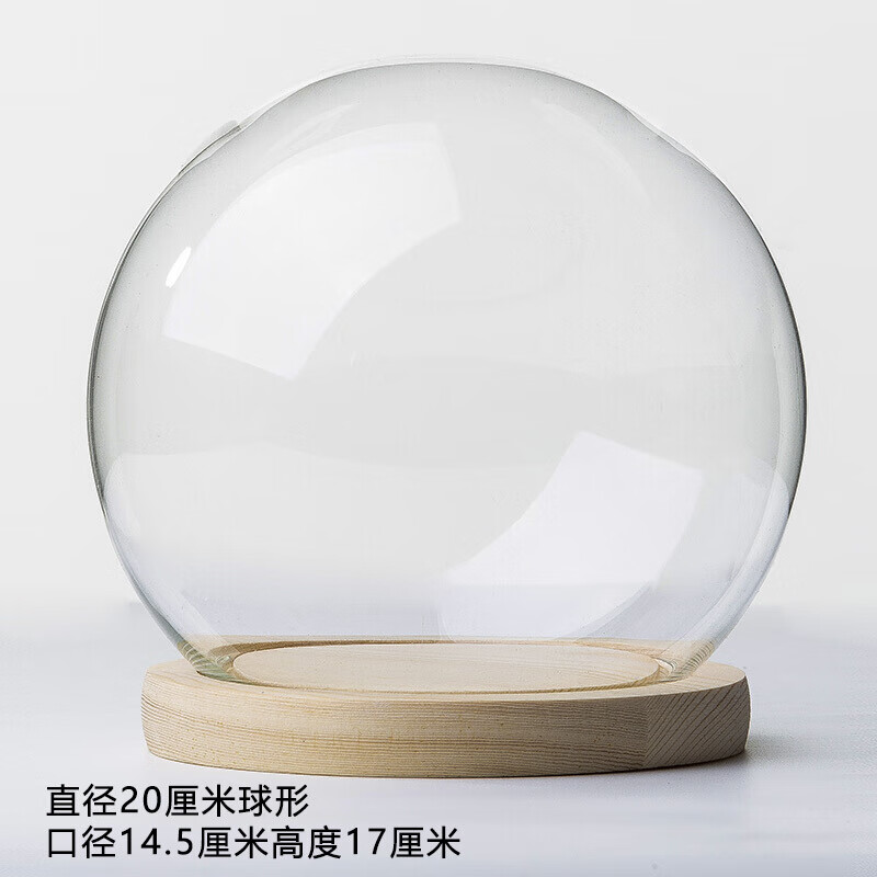 永生花玻璃罩透明 礼物展示盒 摆件diy干花圆形防尘罩工艺品 球形【20