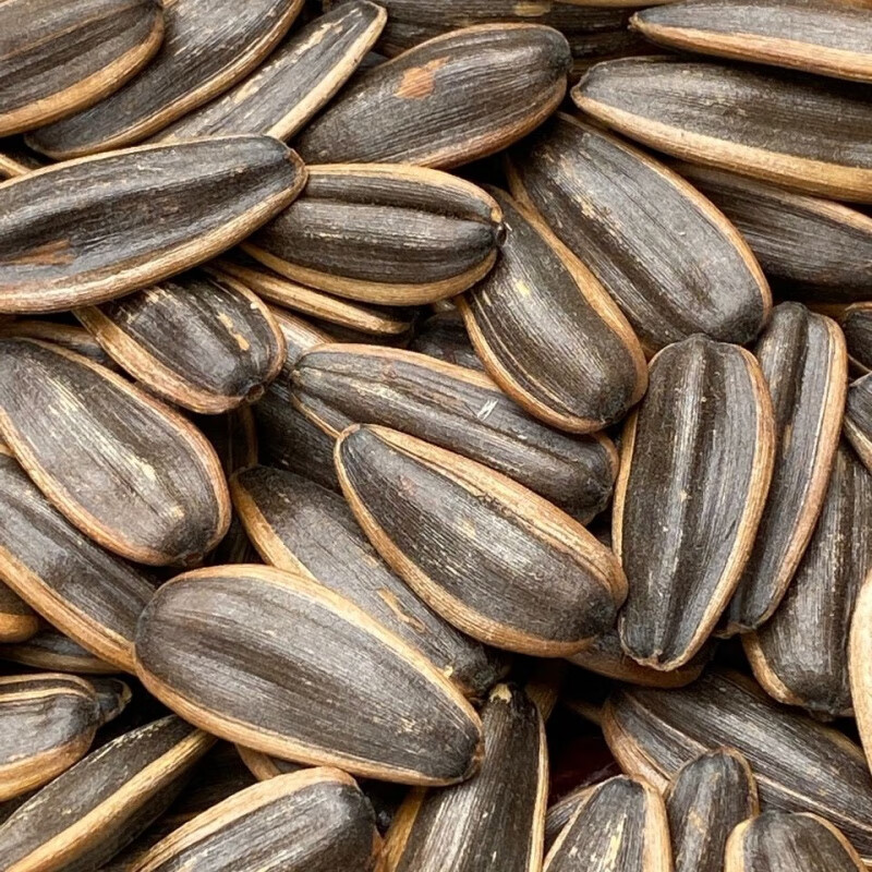 寒宁红枣瓜子焦糖瓜子核桃瓜子 焦糖味500克