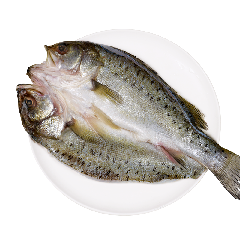 有趣的价格趋势：猫咪玩具价格飙升，如何聪明购物？|京东怎么看鱼类价格走势曲线图