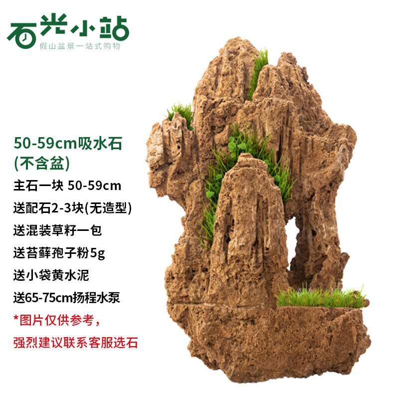 石光小站吸水石天然石頭盆景魚缸庭院中大型魚池造景吸水石原石上水石盆景 50-59cm吸水石不含盆