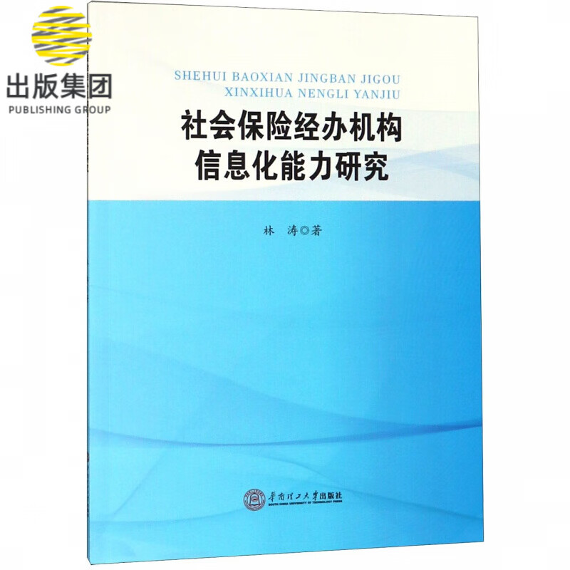 社会保险经办机构信息化能力研究