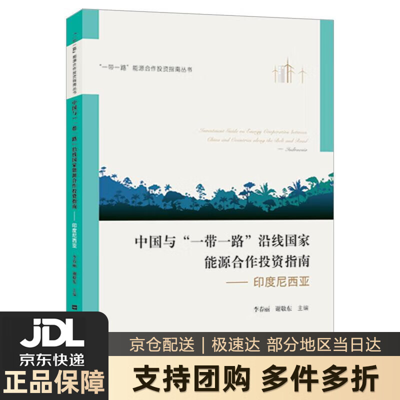 【新华书店 送货上门】中国与"一带一路"沿线国家能源合作投资指南