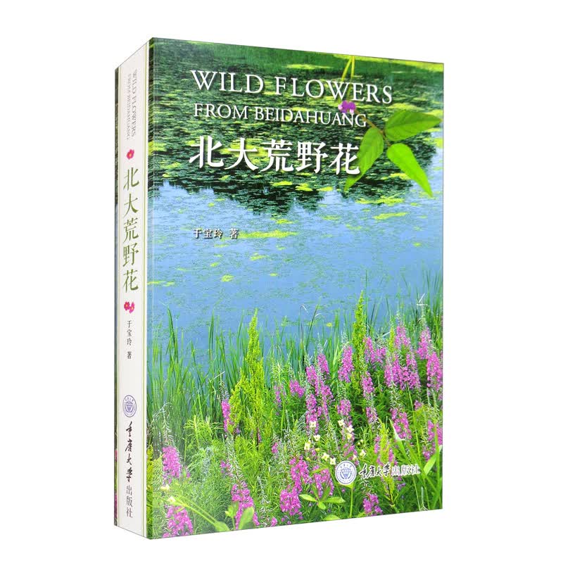 北大荒野花